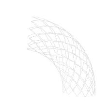 Vascular Stents & Balloons